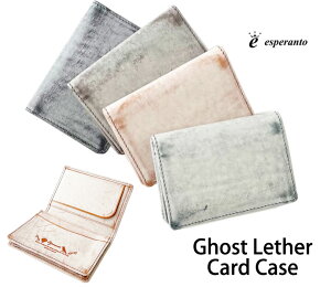 GXyg esperanto [ S[XgU[ J[hP[X ] h lC {v X}[g  Vv C^AU[ { 2܂ ESP-6765