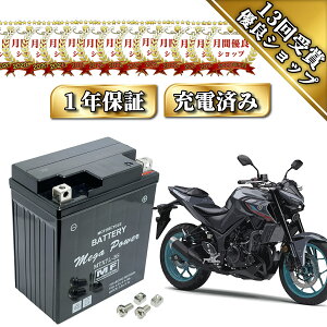 ytz obe[ MT-25 MT250 ^ RG10J RG43J MTX7L-BS 1Nۏ [dς  YTZ8V GTZ8V YTX7L-BS FTX7L-BS ݊