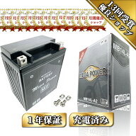 【無料処分付き】 バイク バッテリー YB14L-A2 互換 MB14L-A2 一年保証 充電済み CB750F / Z1000 / Z1 Se…