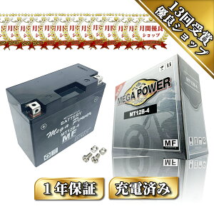 ytz oCN obe[ YT12B-BS ݊ MT12B-4@Nۏ [dς hbNX^[ FZ400 ( YT12B-BS / FT12B-4 / GT12B-4 ) ݊i