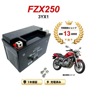 �y���������t���z �o�b�e���[ FZX250 �^�� 3YX1 MTX9-BS 1�N�ۏ� �����[�d�ς� ���� YTX9-BS FTX9-BS CTX9-BS STX9-BS �݊�