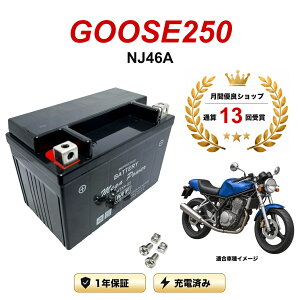 �y���������t���z �o�b�e���[ GOOSE250 �^�� NJ46A MTX9-BS 1�N�ۏ� �����[�d�ς� ���� YTX9-BS FTX9-BS CTX9-BS STX9-BS �݊�