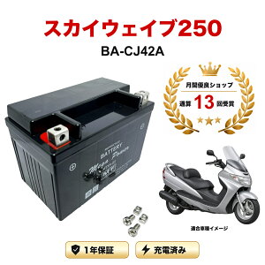 �y���������t���z �o�b�e���[ �X�J�C�E�F�C�u250 �^�� BA-CJ42A MTX9-BS 1�N�ۏ� �����[�d�ς� ���� YTX9-BS FTX9-BS CTX9-BS STX9-BS �݊�