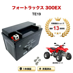 �y���������t���z �o�b�e���[ �t�H�[�g���b�N�X 300EX �^�� TE19 MTX9-BS 1�N�ۏ� �����[�d�ς� ���� YTX9-BS FTX9-BS CTX9-BS STX9-BS �݊�