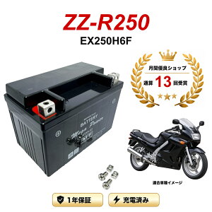 �y���������t���z �o�b�e���[ ZZ-R250 �^�� EX250H6F MTX9-BS 1�N�ۏ� �����[�d�ς� ���� YTX9-BS FTX9-BS CTX9-BS STX9-BS �݊�