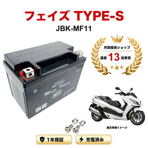 �y���������t���z �o�b�e���[ �t�F�C�Y TYPE-S �^�� JBK-MF11 MTZ12S 1�N�ۏ� �����[�d�ς� ���� YTZ12S FTZ12S STZ12S CTZ12S �݊�