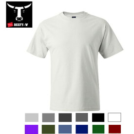 ヘインズ ビーフィー 半袖 Tシャツ Hanes Beefy Short Sleeve T-Shirt -5180