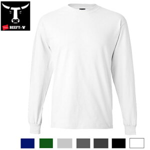 wCY r[tB[ TVcHanes Beefy L/S T-SHIRT(7F )5186