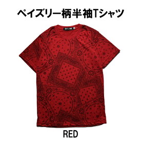 ペイズリー柄 Tシャツ メンズ レディース ストリート 半袖 クルーネック Uネック Tシャツ 半袖T B系 ダンス 衣装 HIPHOP カジュアル 大きいサイズ ブラック 黒 ホワイト 白 春 夏 ファッション ユニセックス コットン 綿 100% おしゃれ スカーフ柄 Paisley