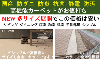 カーペット6畳ラグ防炎防汚防ダニ絨毯じゅうたん送料無料丸巻き安い激安【品名レイラ】江戸間6畳261×352cm