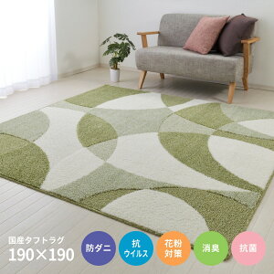 ���O ���_�� ������� ���{�� ��2�� ���O�}�b�g 190x190 �x�[�W�� �O���[�� �h�_�j �R�E�B���X �R�� �O�~ �y�i�� �W���X�g�z 190×190cm