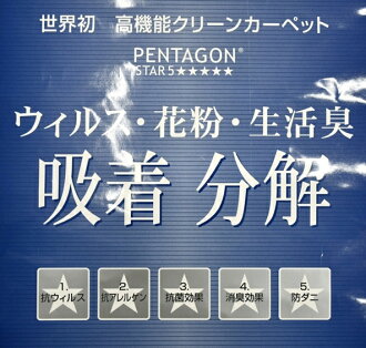P-2000ウイルス
