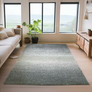 O~ O VM[  6 240×340cm Of[V  J[ybg イ rO Q q EBgD IWi  Ѝ݌ yWu 240×340z Z O