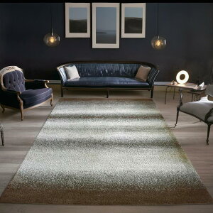 O~ O VM[  6 240×340cm Of[V  J[ybg イ rO Q q EBgD IWi  Ѝ݌ yWu 240×340z Z O