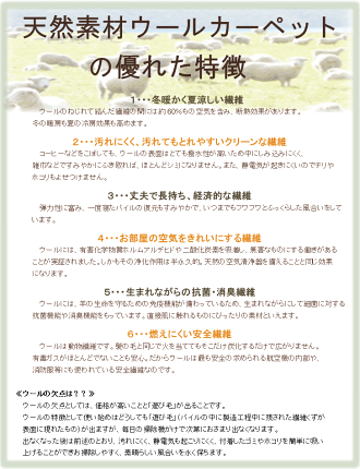 機能