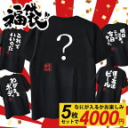 【在庫限り】【 俺流総本家 】 おもしろtシャツ 俺流総本家 福袋　5枚セット【 新春 運試し 変な語録入ってたらごめんなさい！！ おもしろtシャツ 長袖 レディース 子供 キッズパロディ tシャツ 送料無料 ネタtシャツ お買い得】