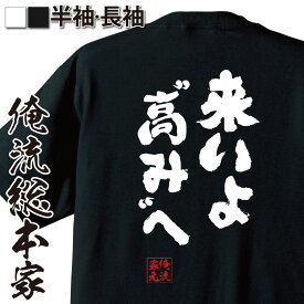 【お買い物マラソン期間20％OFF 】 おもしろtシャツ 俺流総本家 魂心Tシャツ 来いよ高みへ【 tシャツ 長袖 メンズ レディース 名言 メッセージ雑貨 文字tシャツ 面白いtシャツ ワンピース ONE PIECE 漫画 少年 ルフィ エース ポジティブ・】