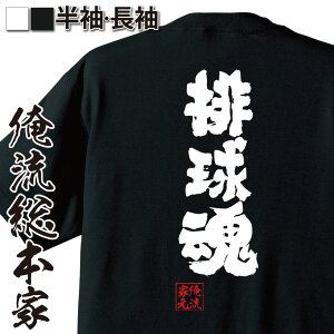 バレーボールウェア ハイキュー Tシャツの人気商品 通販 価格比較 価格 Com