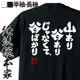 【 スーパーセール期間20％OFF 】 おもしろtシャツ 俺流総本家 魂心Tシャツ 山あり谷ありじゃなくて、谷ばかり【 tシャツ 長袖 メンズ レディース 漢字 文字 メッセージtシャツおもしろ雑貨 ネガティブ・ニート系】