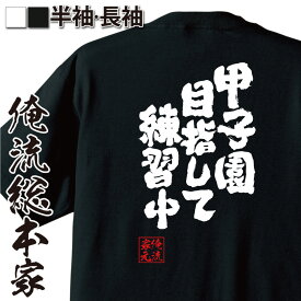 【 スーパーセール期間20％OFF 】おもしろtシャツ 俺流総本家 魂心Tシャツ 甲子園目指して練習中【スポーツ・運動・部活系 おもしろ雑貨 漢字 文字Tシャツ スーパーセール期間20％OFF 面白 メッセージtシャツ 文字tシャツ 長袖 大きいサイズ 】