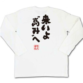 【お買い物マラソン期間20％OFF 】 おもしろtシャツ 俺流総本家 魂心Tシャツ 来いよ高みへ【 tシャツ 長袖 メンズ レディース 名言 メッセージ雑貨 文字tシャツ 面白いtシャツ ワンピース ONE PIECE 漫画 少年 ルフィ エース ポジティブ・】