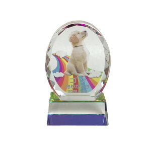  ybgp I[oʔv NX^  KX ybgA 茳{ ybĝʔv d ybg ʔv A  L  L 킢  /ʔv/ PA 2025