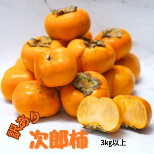 YnI@󂠂@Y`@L育ƒp3kgȏA12`15(Ê`E܂Ej