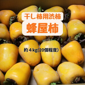 YnI@󂠂@Y`@L育ƒp3kgȏA12`15(Ê`E܂Ej