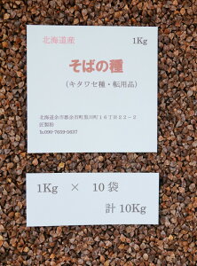΂̎ 10Kg kCY ]pi@L^Z@yz@ƒ؉p