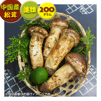 中国産松茸 完売 お気にいる ：進物松茸：約200g