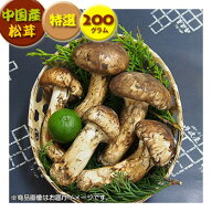 【中国産松茸】：特選松茸：