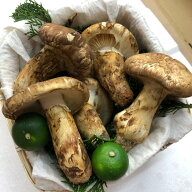 【国産松茸】ひらき松茸：約300g：岡山/兵庫/岩手県産⁂長野県産