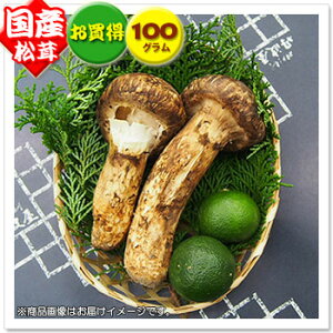 yYz100g/1{`4{FREɌY^茧Y