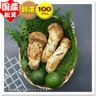 【国産松茸】：特選松茸：約100g：/岩手県産、岡山県産、兵庫県産、その他