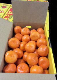 【有田みかん】1箱約4.5kg　(2L、L,サイズ