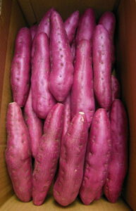 y܂zȂƋ ނ߁E5kgiMTCYj