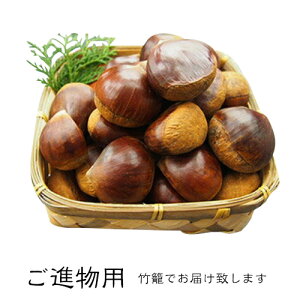 yQYEIz1kg 3L^ip