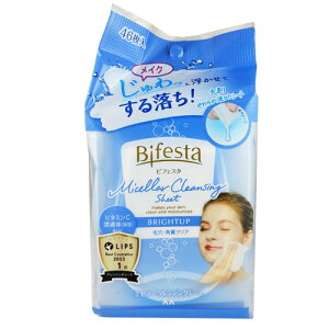 }_ Bifesta rtFX^ 闎NWO V[g uCgAbv 46