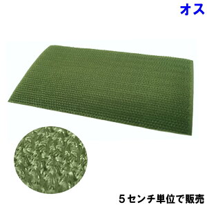 xN Dt^Cv OD IX 10cm^Cv 5cm`̃Jbgi[v `N`N by pb` ٖD ޗj