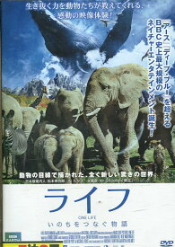 ライフ　いのちをつなぐ物語※ジャケットに押印あり　/日本版案内人：松たか子【中古】中古DVD