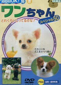 動物大好き　ワンちゃん　スペシャル50【中古】中古DVD