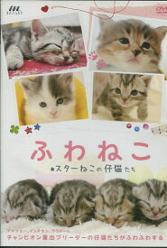 ふわねこ　スターねこの仔猫たち【中古】中古DVD