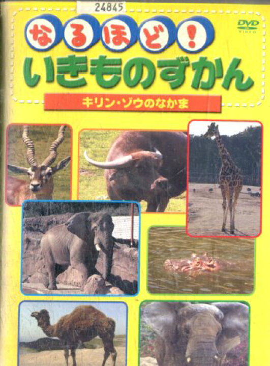 楽天市場 なるほど いきものずかん キリン ゾウ のなかま 中古 アニメ 中古dvd テックシアター