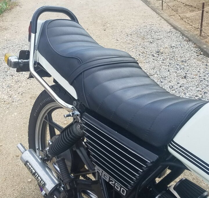楽天市場】RG250E 極太メッキタンデムバー ブラック テクニカル 