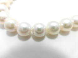 SVアコヤ真珠ネックレス/真珠8〜8.5mm/42cm/G478/ジュエリー/真珠/パール/ネックレス/