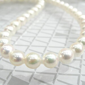 SVp[lbNX ^ 蕨 v[g G4689