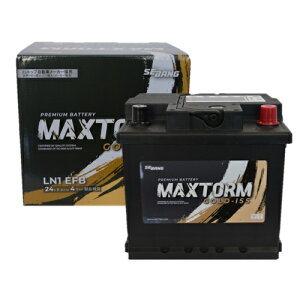 MAXTORM �}�b�N�X�g�[�� GOLD-ISS EFB�^�C�v �o�b�e���[ LN1-EFB