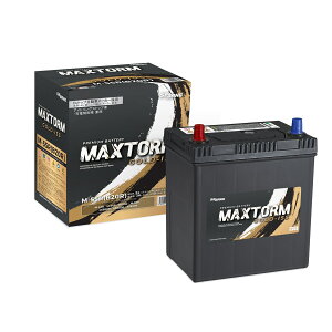 MAXTORM �}�b�N�X�g�[�� GOLD-ISS �A�C�h�����O�X�g�b�v�ԑΉ� �o�b�e���[ M55R-B20R