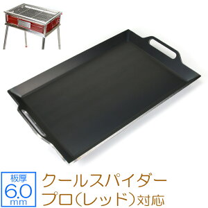 yr[500~OFFN[|zZEOOR [I[ Ɍo[xL[S Lv BBQ AEghApi R[} Coleman N[XpC_[v bh p S [^ o[xL[R 