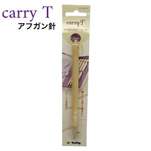 `[bv@Carry TpPii@9.0mmAtKj@ylR|X֑Ήz